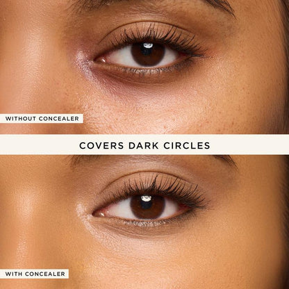 Big Stick Energy duo – shape tape concealer stick & brush